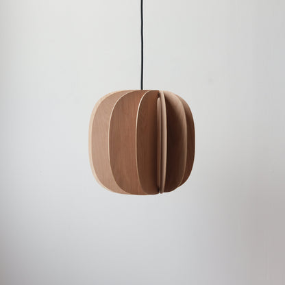 Fin II Pendant