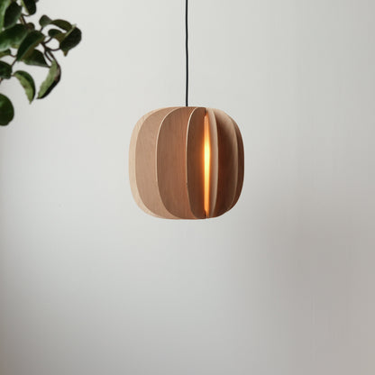 Fin II Pendant