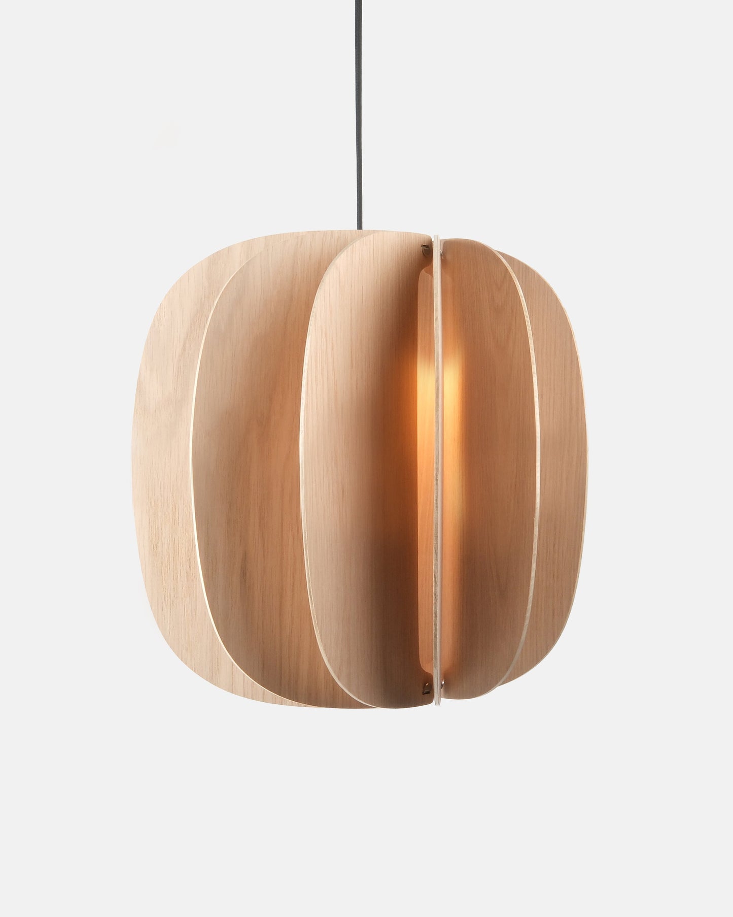 Fin II Pendant